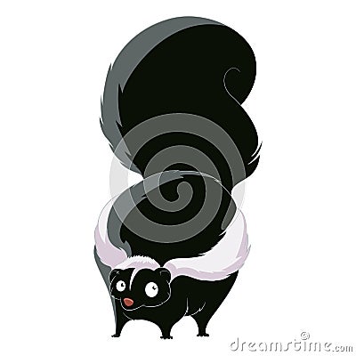 Cartoon fat Skunk Vector Illustration