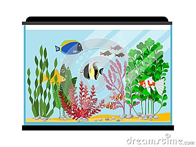 Cartoon fishes in aquarium. Saltwater or freshwater fish tank vector illustration Vector Illustration