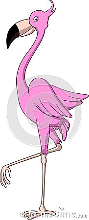 Cartoon flamingo Cartoon Illustration