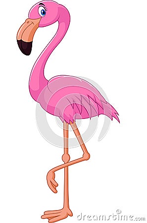 Cartoon flamingo bird Vector Illustration