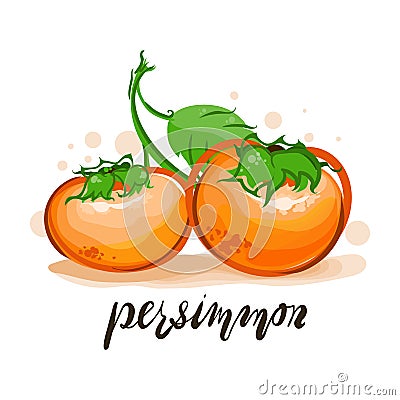 Cartoon, flat, beautiful, delicious persimmon Vector Illustration