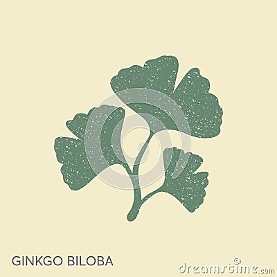 Cartoon flat ginkgo biloba leaves illustration in a retro style Vector Illustration