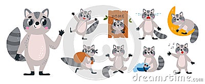 Cartoon flat raccoon character. Careless funny raccoons in different poses, wash and sing, meditate and sleep. Woodland Vector Illustration