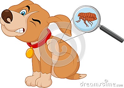 Cartoon flea infested dog Vector Illustration