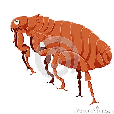 Cartoon Flea Vector Illustration