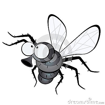 Cartoon fly Vector Illustration