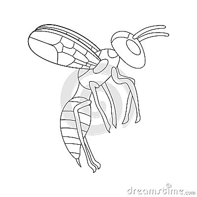 Cartoon flying wasp outline. white background isolated vector illustration Vector Illustration