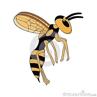 Cartoon flying wasp. white background isolated vector illustration Vector Illustration