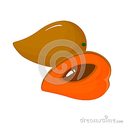 Cartoon fresh Zapote fruit isolated on white Vector Illustration