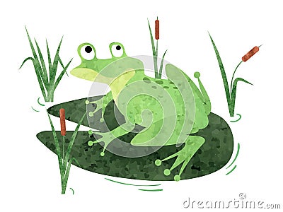 Cartoon Frog sitting on lily pad. Vector Illustration