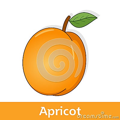 Cartoon Fruit - Orange Apricot with Leaf Vector Illustration