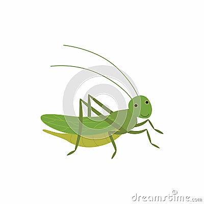 Cartoon funny cricket. Vector illustration isolated on white background. Vector Illustration