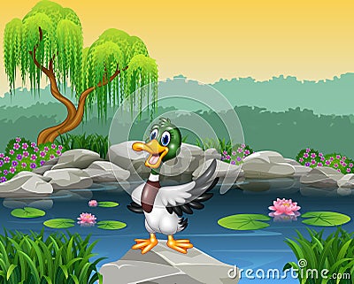 Cartoon funny duck presenting Vector Illustration