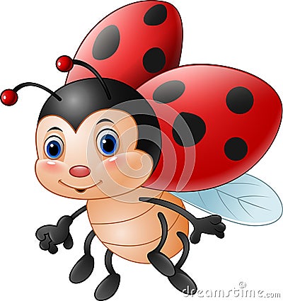 Cartoon funny ladybug Vector Illustration