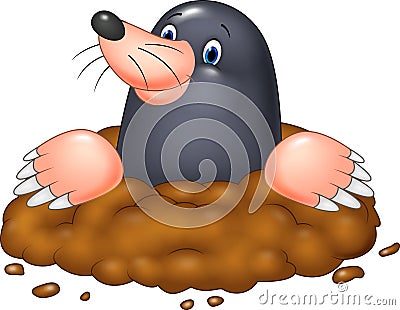 Cartoon funny mole Vector Illustration