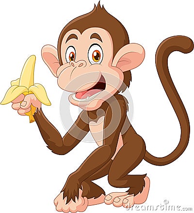 Cartoon funny monkey holding banana isolated on white background Vector Illustration