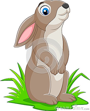 Cartoon funny rabbit on the grass Vector Illustration