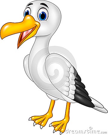 Cartoon funny seagull posing isolated on white background Vector Illustration