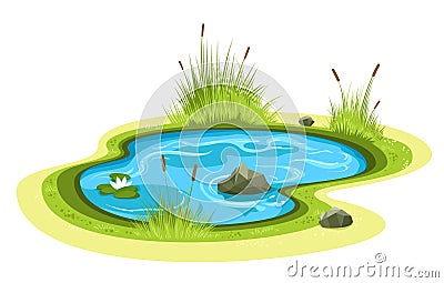 Cartoon garden pond Vector Illustration