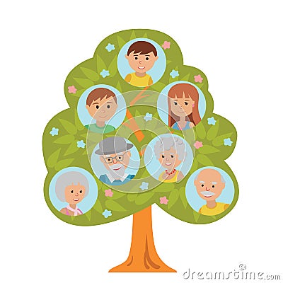 Cartoon generation family tree in flat style grandparents parents and child on white background. Vector Illustration