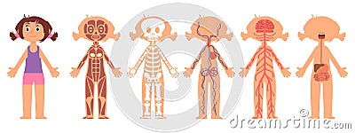 Cartoon girl anatomy. Kid heart, digestive and nervous system. Skeleton on rentgen, medical poster for children. Little Vector Illustration