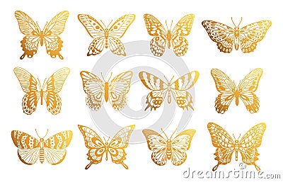 Cartoon golden butterflies. Gold flying insects, tropical shiny butterflies silhouettes flat vector illustration set Vector Illustration