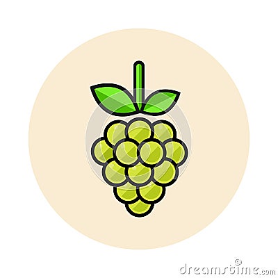 Cartoon grapes green icon Vector Illustration