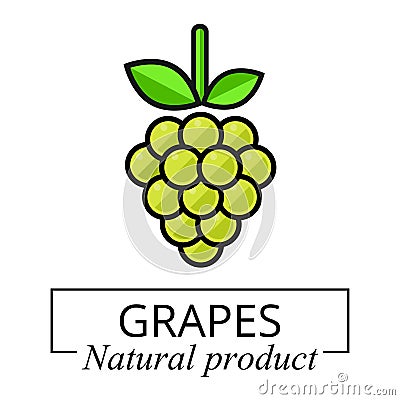 Cartoon grapes green label Vector Illustration