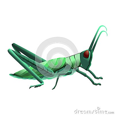 Vector Cartoon Grasshopper Character isolated illustration Vector Illustration