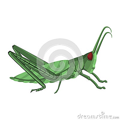 Vector Cartoon Grasshopper Character isolated illustration Vector Illustration