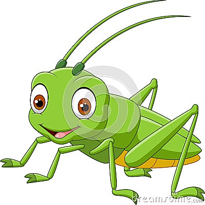 Cartoon grasshopper isolated on white background Vector Illustration