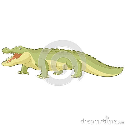 Cartoon green alligator Vector Illustration