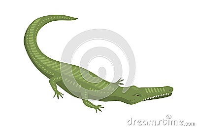 Cartoon green crocodile danger predator and australian wildlife river reptile carnivore alligator with scales teeth flat Vector Illustration