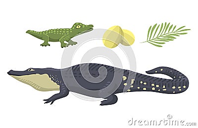 Cartoon green crocodile danger predator and australian wildlife river reptile carnivore alligator with scales teeth flat Vector Illustration