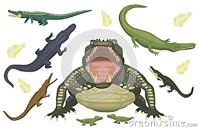 Cartoon green crocodile danger predator and australian wildlife river reptile carnivore alligator with scales teeth flat Vector Illustration