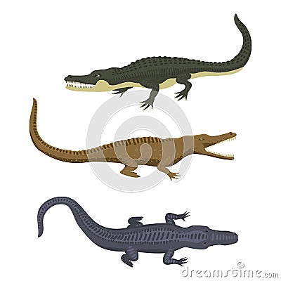 Cartoon green crocodile danger predator and australian wildlife river reptile carnivore alligator with scales teeth flat Vector Illustration