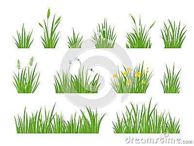 Cartoon green meadow grass with flower, herbs and spike ears. Spring garden lawn horizontal borders. Field fresh natural Vector Illustration