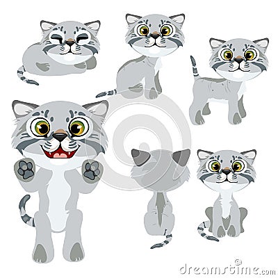 Cartoon grey kitten in different poses and mood Vector Illustration