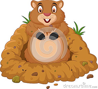 Cartoon groundhog looking out of hole Vector Illustration