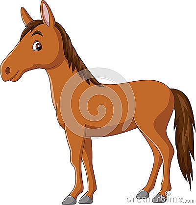 Cartoon happy horse on white background Vector Illustration