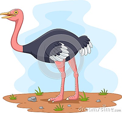 Cartoon happy ostrich isolated on white background Vector Illustration