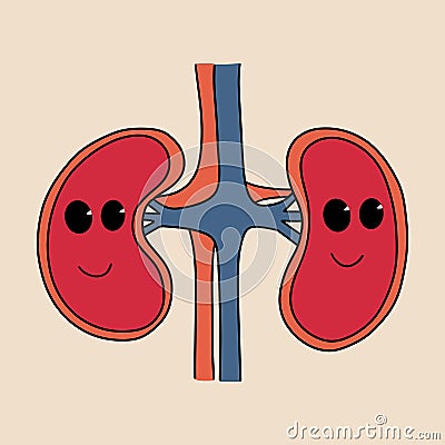 Cartoon healthy kidneys. Vector illustration in flat style Vector Illustration