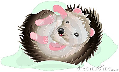 Cartoon hedgehog with blanket Vector Illustration