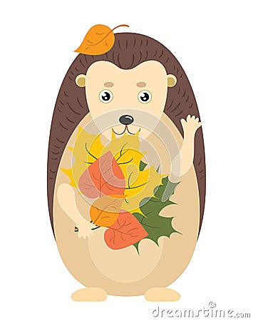A cartoon hedgehog. The hedgehog holding leaves in his hand. Illustration for children. Vector drawing for a postcard Vector Illustration