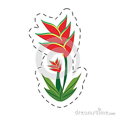 cartoon heliconia flower image Cartoon Illustration