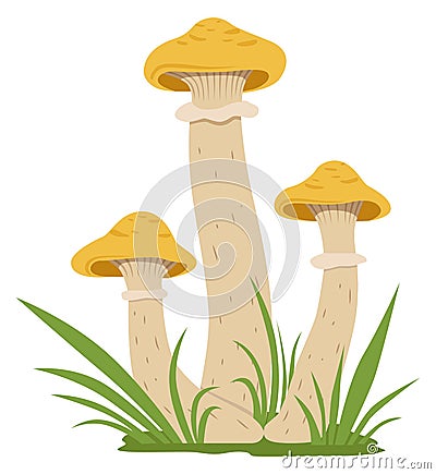 Cartoon honey fungus icon. Wild nature element Vector Illustration