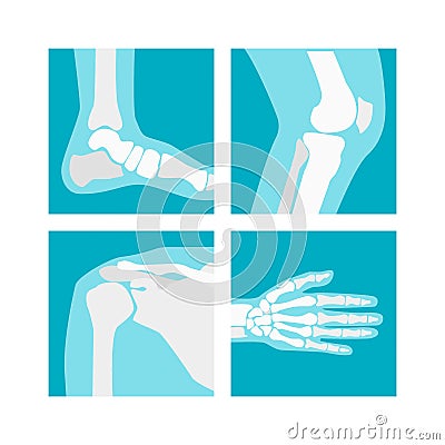 Cartoon Human Joints Set. Vector Vector Illustration