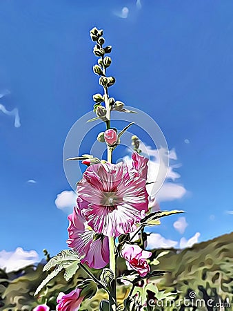 Cartoon illustration of amazing pink flower with blue sky background symbol of hope, freedom and purity Cartoon Illustration