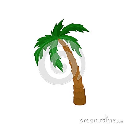 Big palm tree with green leaves and brown trunk. Natural landscape element. Flat vector for postcard or poster Vector Illustration