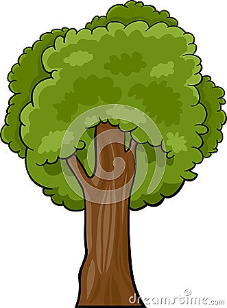 Cartoon illustration of deciduous tree Vector Illustration